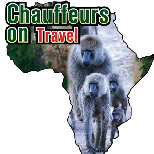 Chauffeurs On Travel